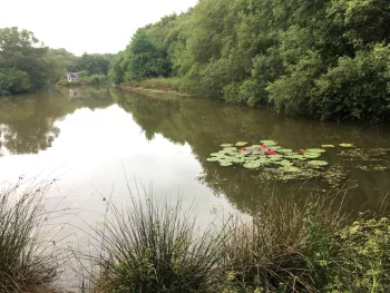 Les chemins d'Eléonore - Visites guidées dans un jardin riche en biodiversité