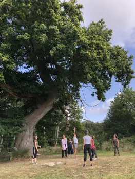 Les chemins d'Eléonore - Visites guidées dans un jardin riche en biodiversité