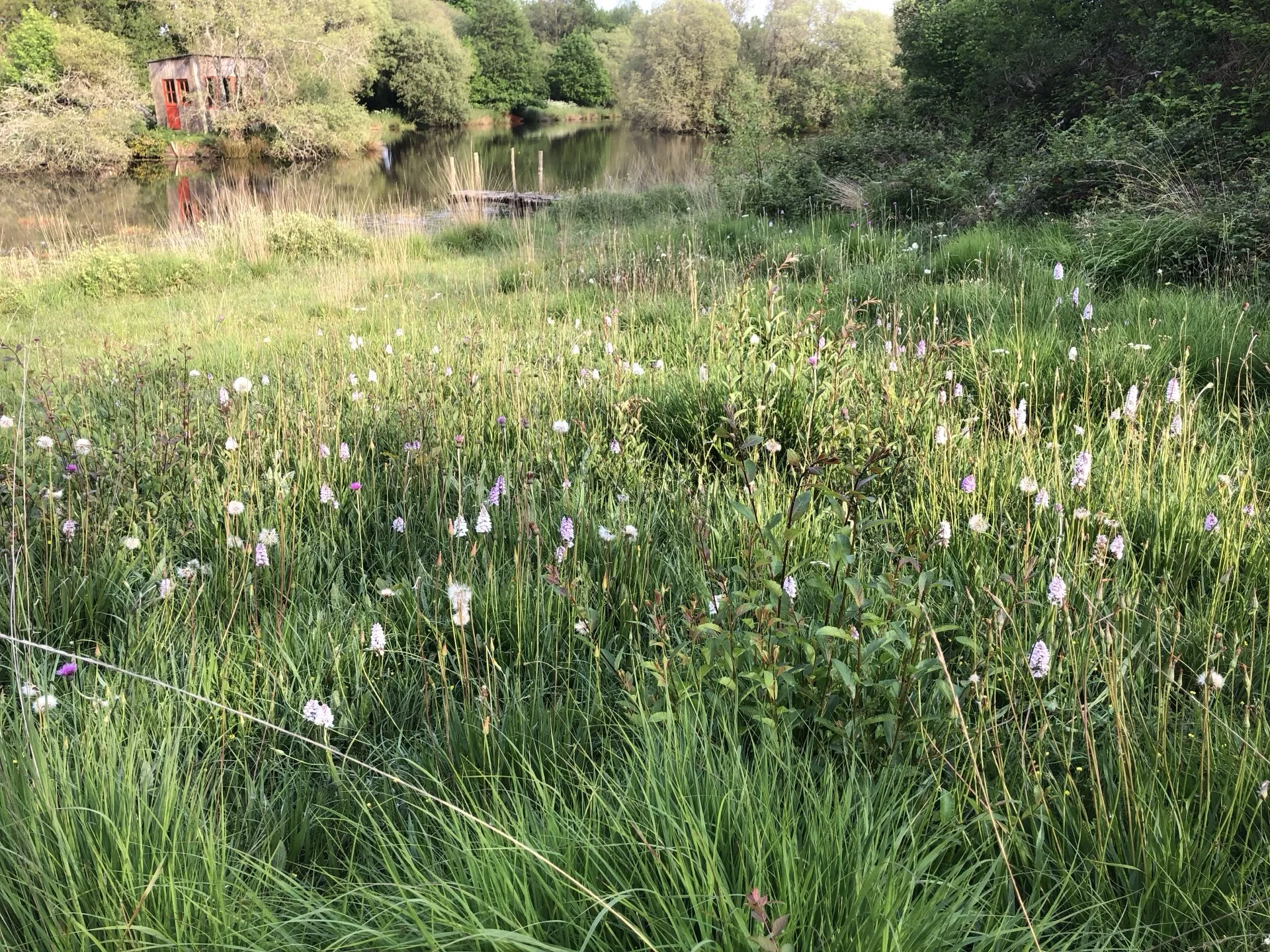 Les chemins d'Eléonore - Visites guidées dans un jardin riche en biodiversité