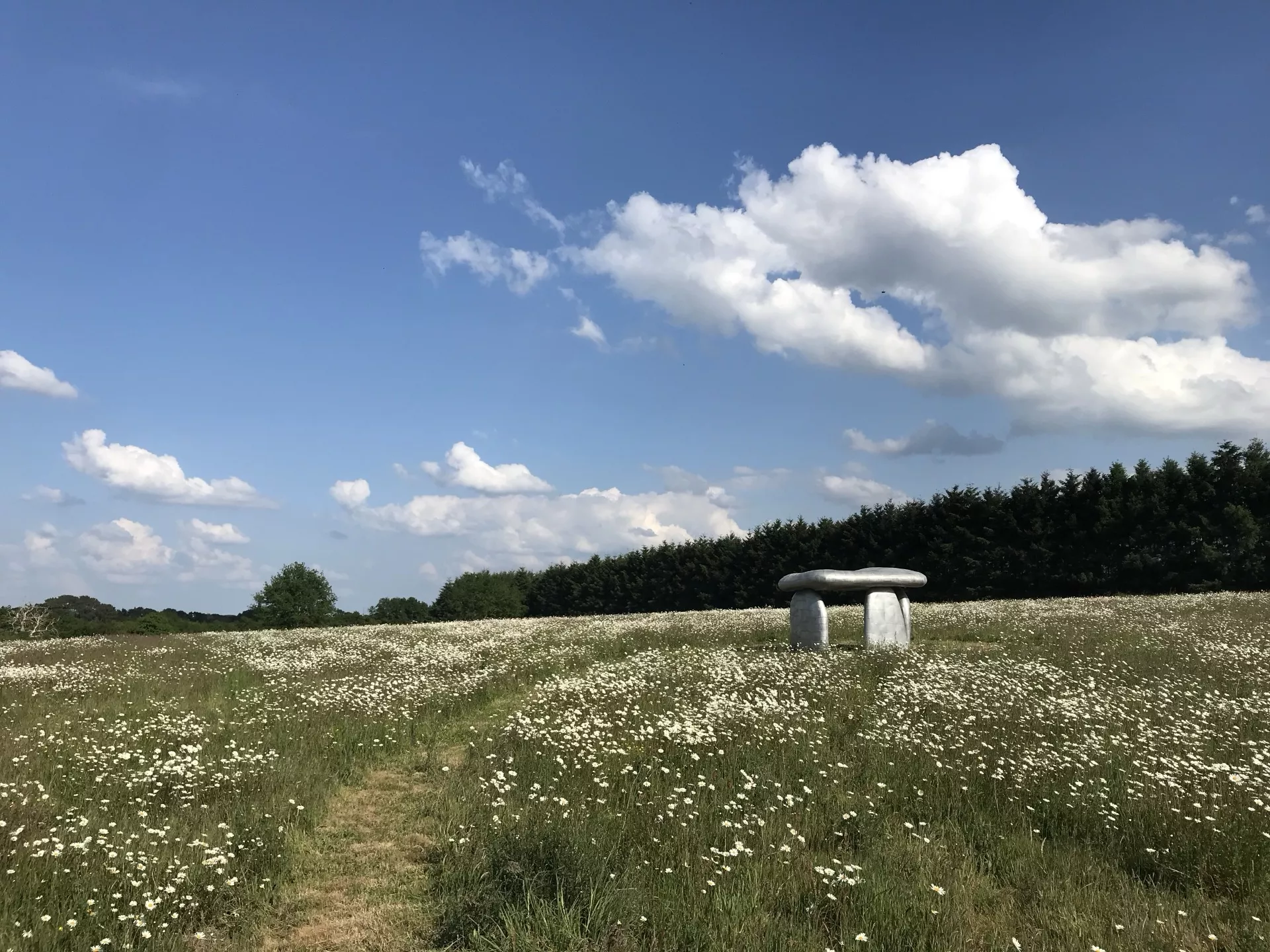 Les chemins d'Eléonore - Visites guidées dans un jardin riche en biodiversité