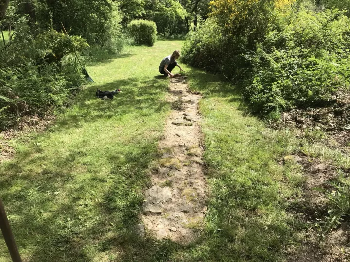 Les chemins d'Eléonore - Visites guidées dans un jardin riche en biodiversité